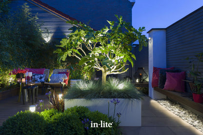 IN-LITE® SCOPE spike spot